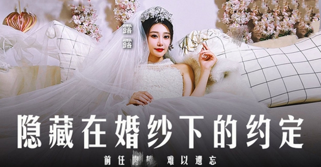 隐藏在婚纱下的约定-牛牛资源库