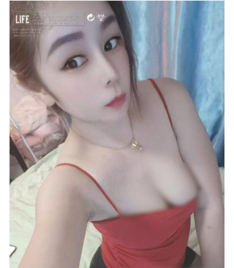 普陀实惠小母狗-牛牛资源库