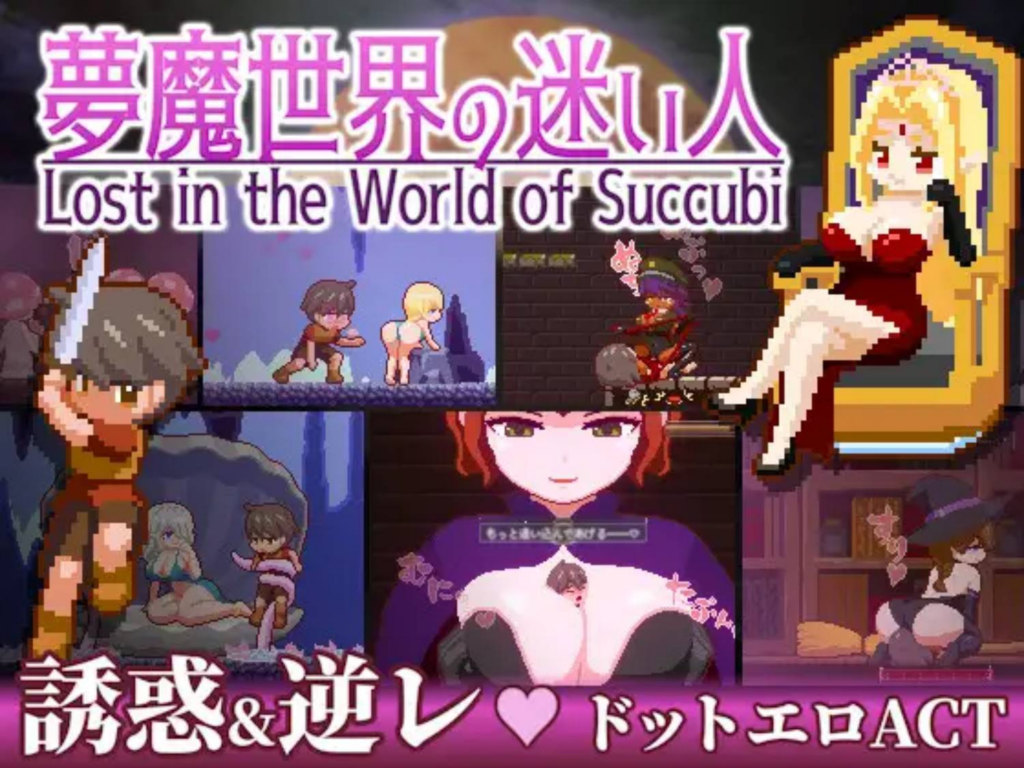 [像素ACT/全动态] 梦魇世界的迷途者 Lost in the World of Succubi 夢魔世界の迷い人 官方中文版 [PC/533M] 2776-牛牛资源库