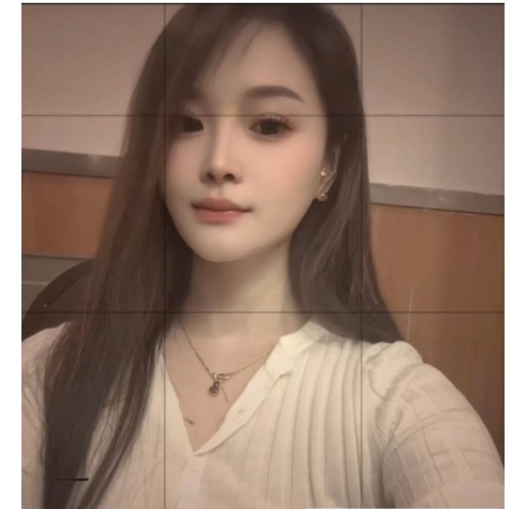 洪山小荔枝-牛牛资源库