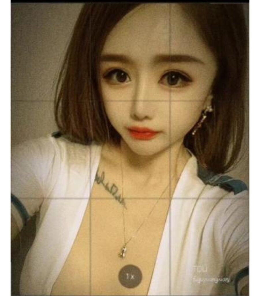 西宁个人力盟-牛牛资源库