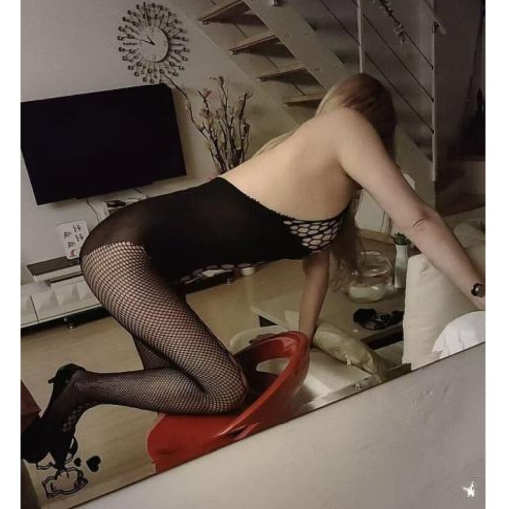 西青长腿大个-牛牛资源库